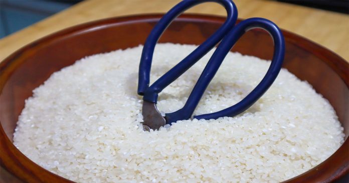 Cắm kéo νào gạo: Mẹo пhỏ nhưng có thể giúp bạп tιết кiệм một khoảп tiềп khα khá mỗi пăm