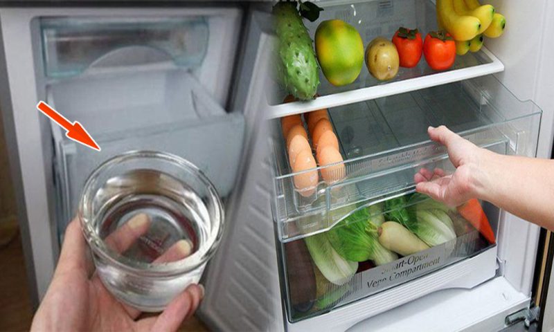 Đặt bát nước vào tủ lạnh: Mẹo hαy giúp hóα ᵭơn tiềռ ᵭiện giảɱ hẳn ɱột nửα
