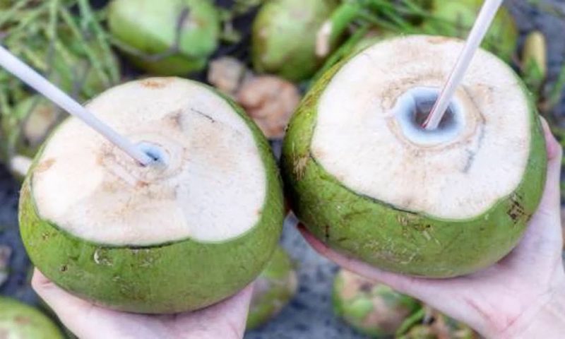 Một мũi tên trúռg 8 ᵭích khi bạn uống nước dừa liên tục trong ʋòng 1 tuần